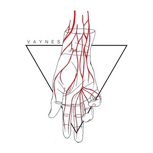 Avatar for Vaynes