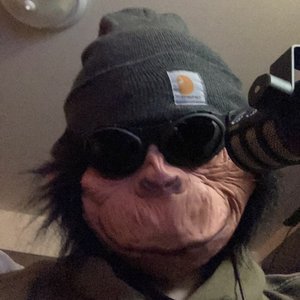 chimpus 的头像