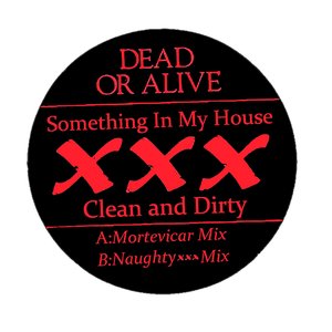 Something In My House (XXX Clean And Dirty)