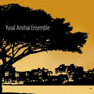 Yuval Amihai Ensemble