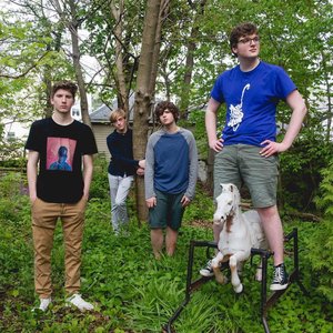 Avatar for The Foresters