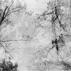 Heridas Por Florecer