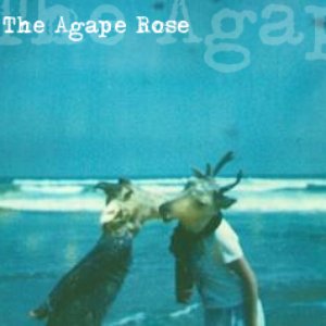 The Agape Rose 的头像
