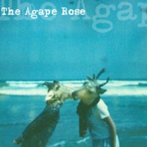 Image for 'The Agape Rose'