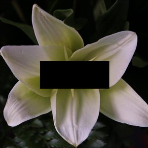 ※