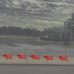 PIGS