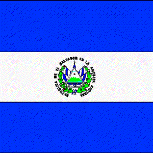 Avatar de MS 13