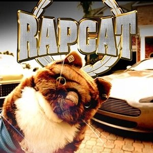 Immagine per 'Rap Cat'