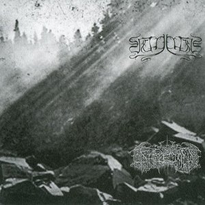 Veineliis / Kältetod