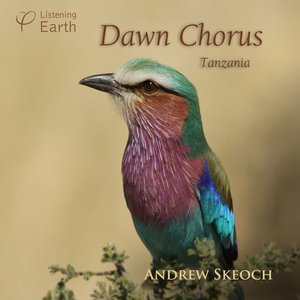 Dawn Chorus - Tanzania