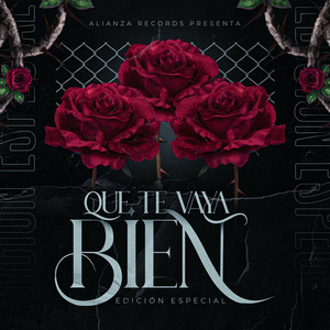 Artwork for Que Te Vaya Bien