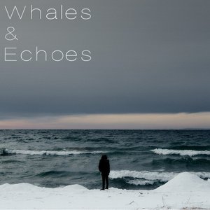 Avatar for Whales & Echoes