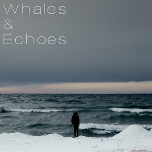 Avatar de Whales & Echoes