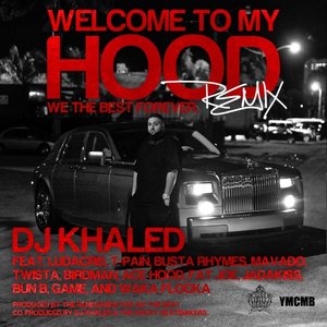 Welcome To My Hood (Remix)