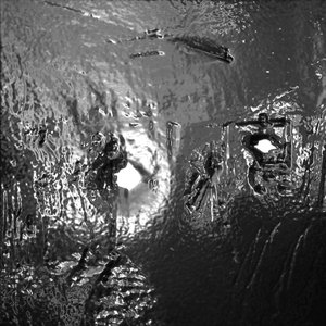 Avatar for tribevolution