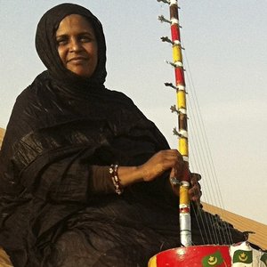 Image for 'Noura Mint Seymali'