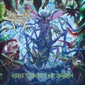 Here Comes The Swarm