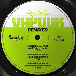 Vapour (Remixes) - Single