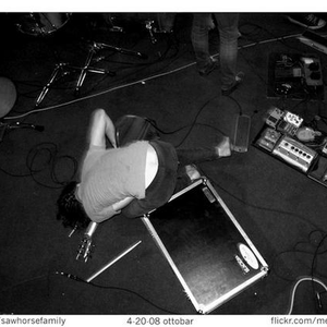 Sawhorse photo provided by Last.fm