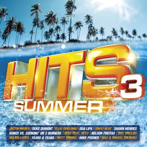 Hits 3 Summer