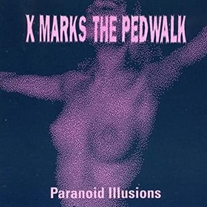 Paranoid Illusions