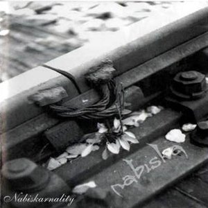 Nabiskarnality