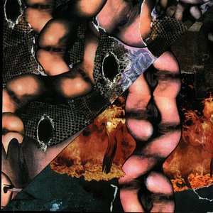 Origin Of The Species Volume Too! - Third Tablet Of Acid