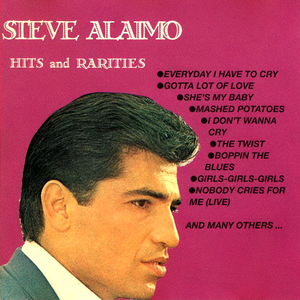 Steve Alaimo - 100 Top 40 Hits - Zortam Music
