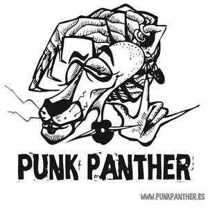 Image for 'Punk Panther'