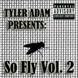 So Fly Mixtape Vol. 2