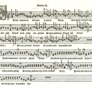 Awatar dla Bartolomeo Tromboncino