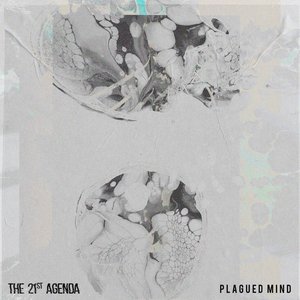 Paramnesia