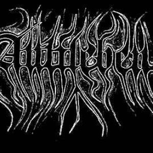 Antileben 的头像