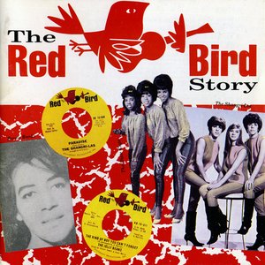 The Red Bird Story