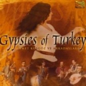 Gypsies From Turkey (Turkey) 的头像