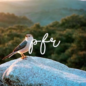 Early Morning Birds (Saturday Part)