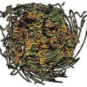 Avatar for Peptic Testicle Vomitus