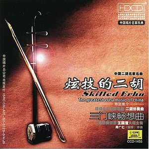 Skilled Erhu