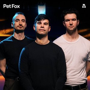 Pet Fox on Audiotree Live - EP