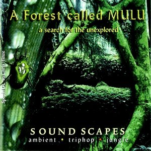 A Forest Called Mulu  (Junkie XL) 的头像