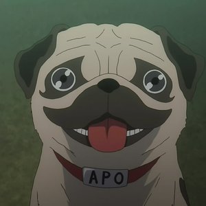 Avatar de APO ザ·犬 。