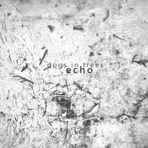 Echo