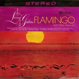 Flamingo and Other Favorites