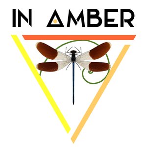 In Amber 的头像