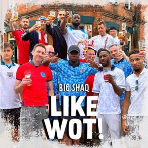 Like Wot! - Single