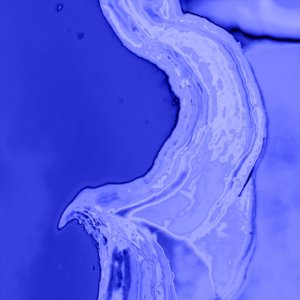 Forward - EP