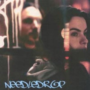 Image for 'Needledrop'