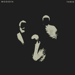 Shapeshifter Modesta Lyrics Song Meanings Videos Full Albums Bios sonichits