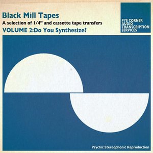 Black Mill Tapes Volume 2: Do You Synthesize?