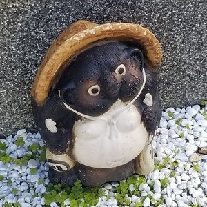 Renouncer 的头像